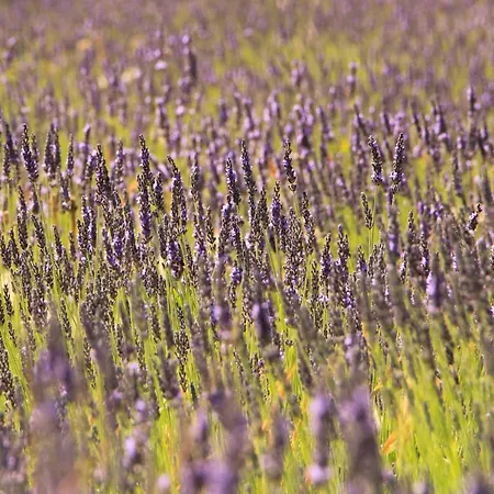 Golf Azur * Saint-Raphaël